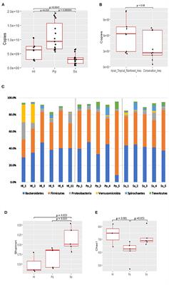 Host species and habitats shape the bacterial community of gut microbiota of three non-human primates: Siamangs, white-handed gibbons, and Bornean <mark class="highlighted">orangutans</mark>